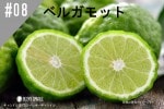 ڹ#08 ٥륬å/Bergamot