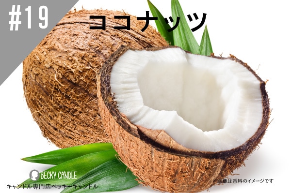 ◇【香料】#19 ココナッツ/Coconut