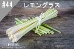 ڹ#44 󥰥饹/Lemon grass