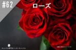 ڹ#62 /RoseڽסNEW2ʬʬ˰ɤޤ
