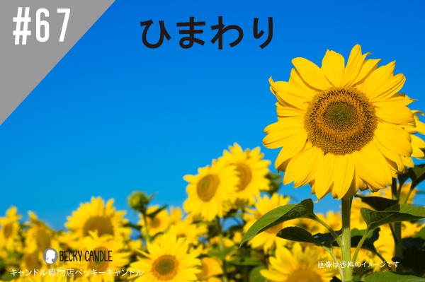 ◇【香料】#67 ひまわり/Sun flower