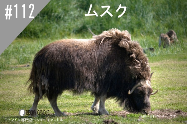 ◇【香料】#112 NEWムスク/Musk