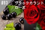 ���ڹ�����#93 �֥�å�������/BlackCurrant
