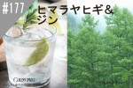 ڹ#177  ҥޥ䥹/BalsamCedarYankee߸˸¤