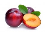 ���ڹ�����#95 �ץ��/plum