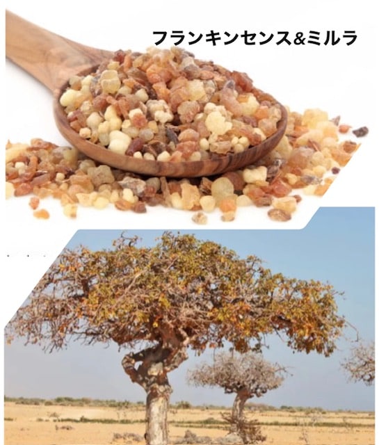 あかね様　プラナロム フランキンセンス、サンダルウッド、ミルラ　精油 ◇【香料】#169 フランキンセンス＆ミルラ