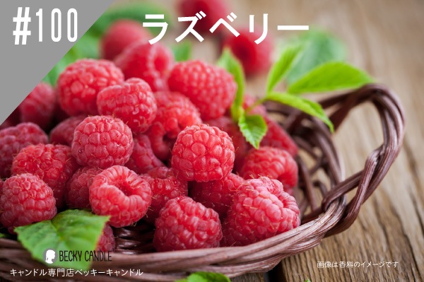 ���ڹ�����NEW#100���饺�٥꡼/Raspberry