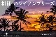 ���ڹ�����#160 �ϥ磻����֥꡼��/ Hawaiian breeze