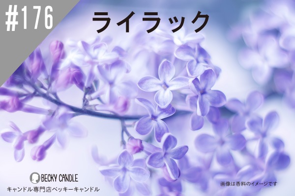 ڹNEW#176 饤å/Lilac