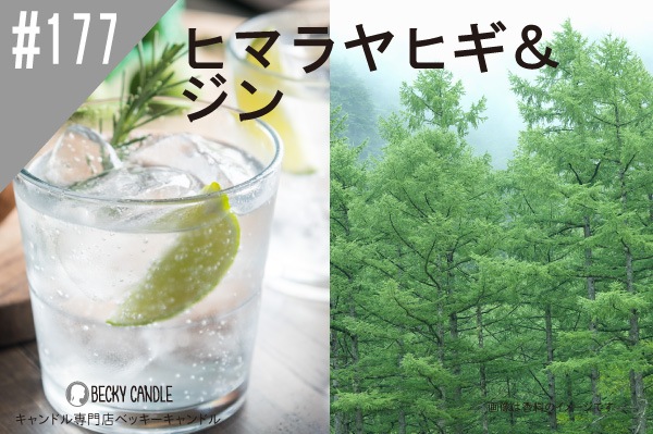 ڹ#177  ҥޥ䥹/BalsamCedarYankee߸˸¤