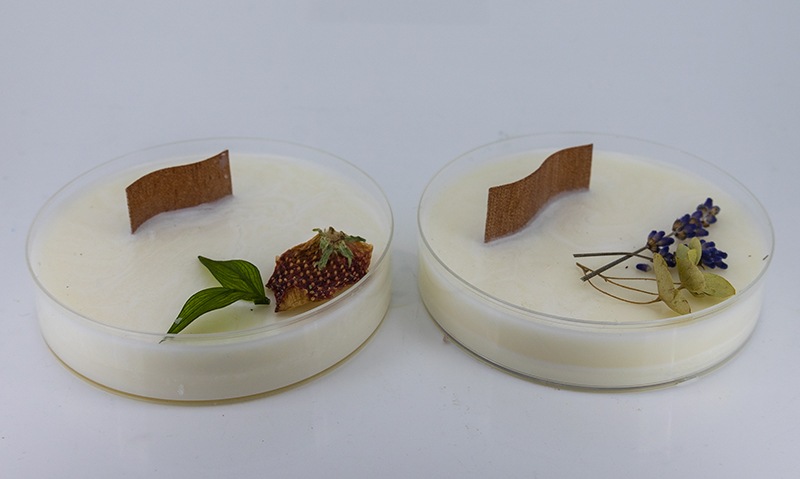 �������ַ����åɥ����å���5������ʺ¶��դ��ˡ���3���ࢨ�᡼�����б��Բ�