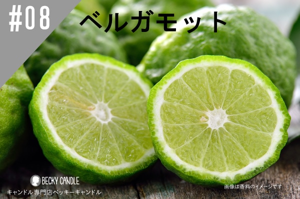 ���ڹ�����NEW #08 �٥륬��å�/Bergamot