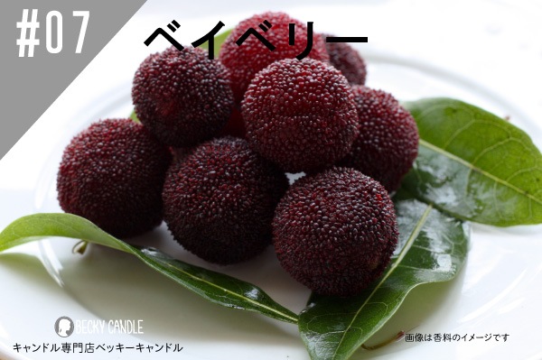 ���ڹ�����#07 �٥��٥꡼/bayberry
