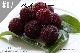 ���ڹ�����#07 �٥��٥꡼/bayberry
