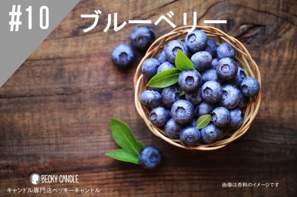 ڹ#10 ֥롼٥꡼/Blueberry