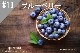 ڹ#10 ֥롼٥꡼/Blueberry