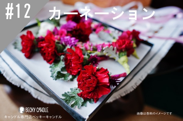���ڹ�����#12 �����͡������/Carnation