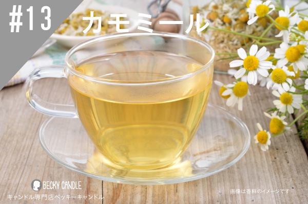 ���ڹ�����#13 ����ߡ���/Chamomile