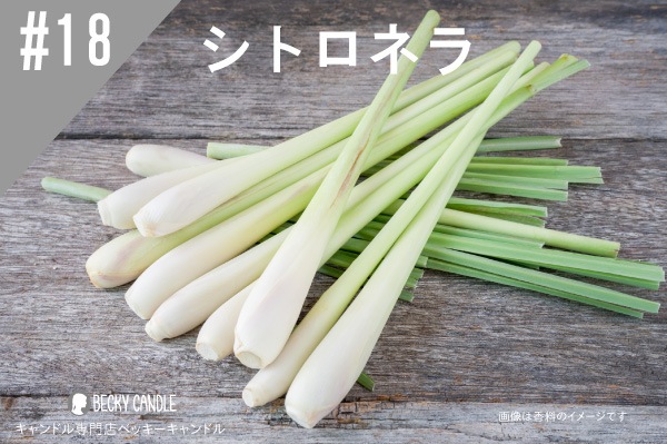 ڹNEW#18 ȥͥ/Citronella