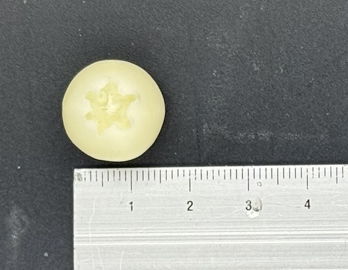 ���ꥸ�ʥ륷�ꥳ��⡼��ɡ��֥롼�٥꡼12�������ѡ�