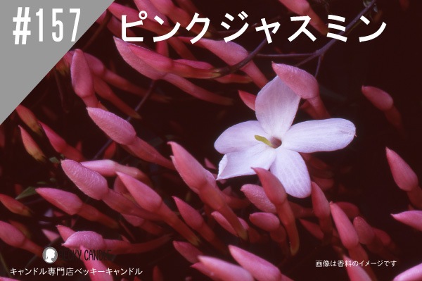 ���ڹ�����NEW#154  �ԥ󥯥��㥹�ߥ�/Pink Jasmine