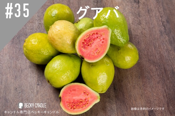 ���ڹ�����#35 ������/Guava