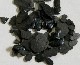 #66 ��NEW�������������֥��ɡ����������꡼��10g����