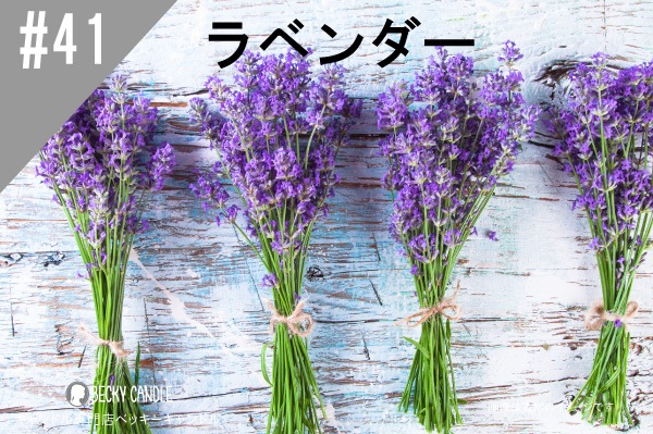 ���ڹ�����#41 ��٥����/Lavender���ڽ��ס�NEW2������ʬ�����ʬ�˰������ɤ��������ޤ���