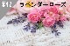 ���ڹ�����#42 ��٥����&������/Lavender&Rose���ڽ��ס�NEW2������ʬ�����ʬ�˰������ɤ��������ޤ���