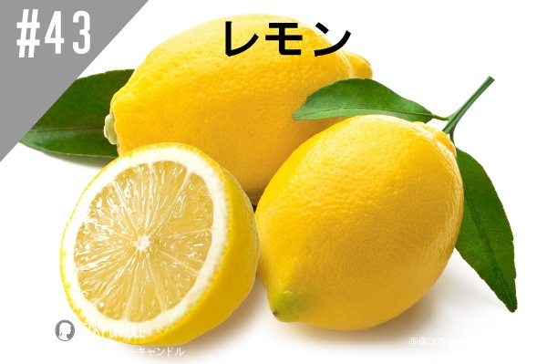 ���ڹ�����#43 ����/Lemon