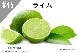 ���ڹ�����NEW#45 �饤��/Lime