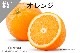 ڹ#51 /Orange