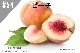 ���ڹ�����#54 �ԡ���/Peach����