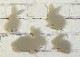 ���ꥸ�ʥ륷�ꥳ�� ������B����1������60mm��60mm