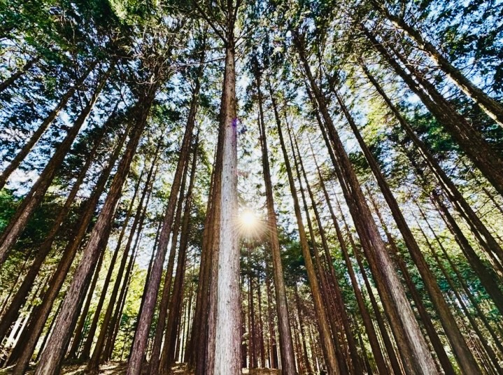 ڹ#202 ҥΥڽסNEW2ʬʬ˰ɤޤ