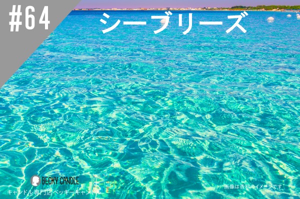 ���ڹ�����#64 �����֥꡼��/Seabreeze