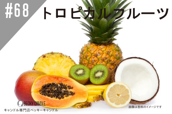 ���ڹ�����#68 �ȥ��ԥ���ե롼��/Tropical fruit