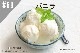 ڹNEW#69 Х˥/Vanilla
