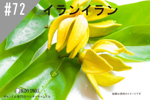 ڹ#72󥤥/Ylang-ylang