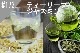 ���ڹ�����#172 �ƥ����꡼�ե��㥹�ߥ�/ Tealeaf jasmine