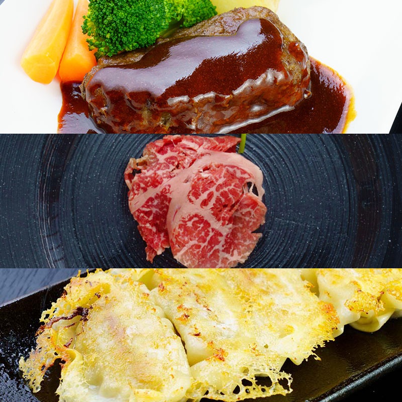 お試しセット(ハンバーグ・生ハム・餃子)