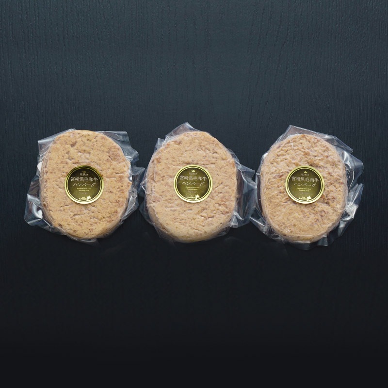 お試しセット(ハンバーグ・生ハム・餃子)