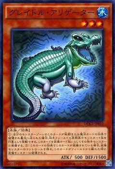 グレイドル・アリゲーター[ﾉｰﾏﾙ](DOCS-JP033)