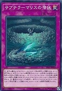 サブテラーマリスの潜伏[ﾉｰﾏﾙ](EP17-JP016)