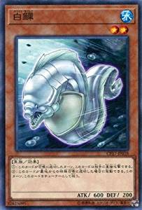 ホワイト・モーレイ[ﾉｰﾏﾙ](CP17-JP018)