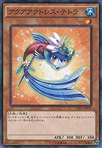 アクアアクトレス・テトラ[ﾉｰﾏﾙ](CPD1-JP039)