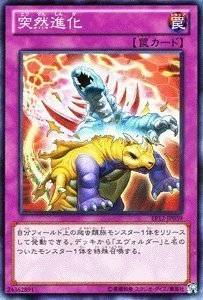 突然進化[ﾉｰﾏﾙ](EP12-JP039)