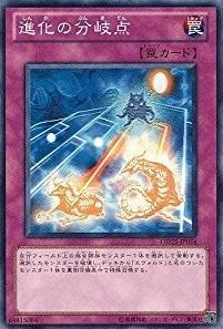 進化の分岐点[ﾉｰﾏﾙ](ORCS-JP074)