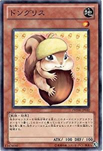 ドングリス[ﾉｰﾏﾙ](PHSW-JP032)