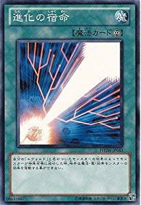 進化の宿命[ﾉｰﾏﾙ](PHSW-JP053)
